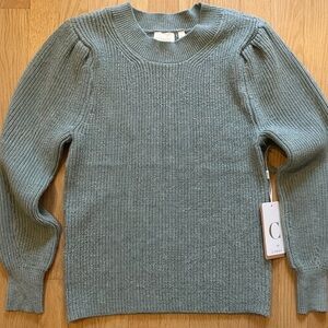 Cyrus Soft Sage Crew Neck Sweater